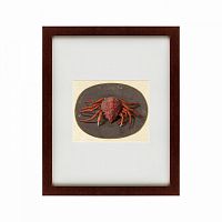 картина: krab, 1690 в Кемерово