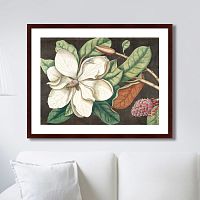 картина: beauty bloom №1, 1732г. в Кемерово