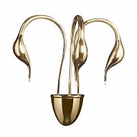 бра lightstar cigno collo 751632 в Кемерово