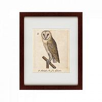 картина: one owl, 1560 в Кемерово