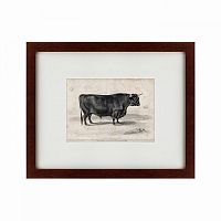 картина: a west highland bull, 1840 в Кемерово