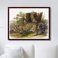 картина: jaguar, 1841г. в Кемерово