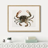 картина: marine life №2, 1725г. в Кемерово