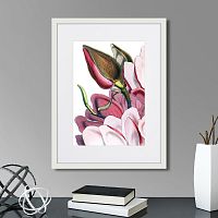 картина: himalaya plants pink-flower on white iv, 1869г. в Кемерово