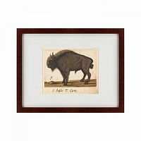 картина: bison, 1560 в Кемерово