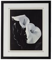 постер с паспарту в раме elegance calla в Кемерово