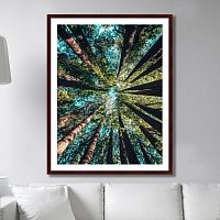 картина: deep forest в Кемерово