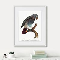картина: beautiful parrots №6, 1872г. в Кемерово