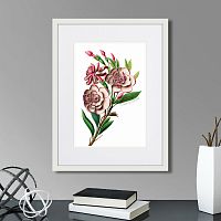 картина: caribian flora pink gardenia flower branch, 1740г. в Кемерово