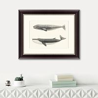 картина: the california gray whale (rhachieanectes claucus), 1857 в Кемерово