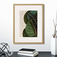 картина: exotic plants of the world №7, 1815г. в Кемерово