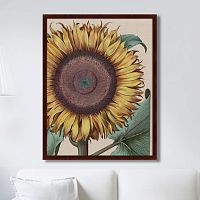 картина: large sunflower (flos solis maior), 1713г. в Кемерово