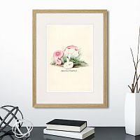 картина: botany illustration №6, 1836г. в Кемерово