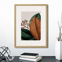 картина: exotic plants of the world №14, 1815г. в Кемерово