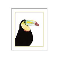 постер toucan разноцветный в Кемерово