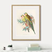картина: love parrots, 1850г. в Кемерово