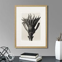 картина: botanical philosophy of forms №8, 1912г. в Кемерово