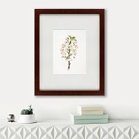 картина: pear tree flowers (pyrus calleryana), 1830 в Кемерово