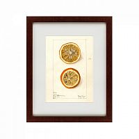 картина: watercolor collection, drawing №5, 1910 в Кемерово