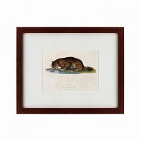 картина: a panther drinking, 1830 в Кемерово