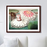 картина: water lily during bloom, 1870г. в Кемерово
