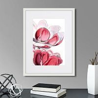 картина: himalaya plants pink-flower on white iii, 1869г. в Кемерово