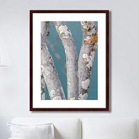 картина: trees on the galapagos islands, ecuador no1 в Кемерово