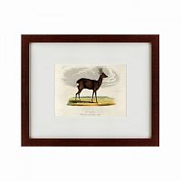 картина: a roebuck, 1830 в Кемерово