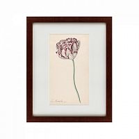 картина: tulp №2, 1815 в Кемерово