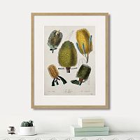 картина: exotic plants of the world №1, 1815г. в Кемерово