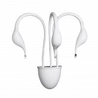 бра lightstar cigno collo wt 751636 в Кемерово