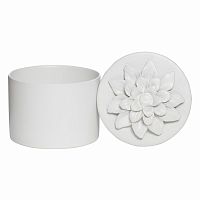 шкатулка для украшений white ii - н* в Кемерово