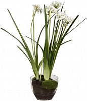 декор allium в Кемерово