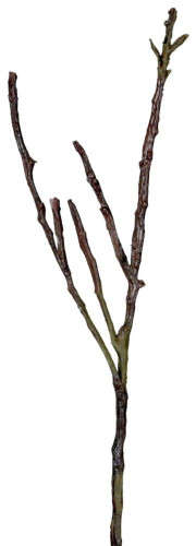 декор dry branches в Кемерово