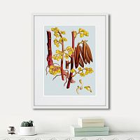 картина: himalaya plants red branch with yellow flowers, 1869г. в Кемерово