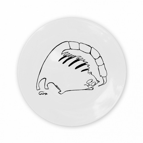 тарелка кот-скорпион в Кемерово