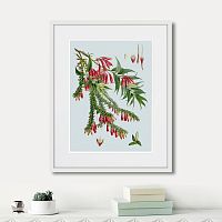 картина: himalaya plants red flower branch, 1869г. в Кемерово