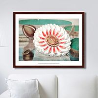 картина: a gigantic water lily in bloom, 1870г. в Кемерово