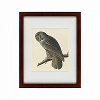 картина: great gray owl, 1834 в Кемерово