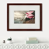 картина: roseate spoonbill, 1827 в Кемерово