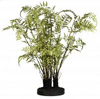 декор ferns в Кемерово