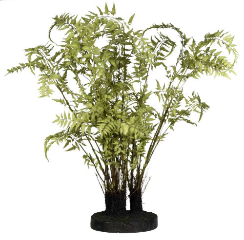 декор ferns в Кемерово