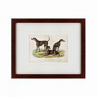 картина: three african bloodhounds, 1830 в Кемерово