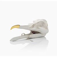 шкатулка для украшений bird skull (белый) в Кемерово