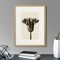 картина: botanical philosophy of forms №5, 1912г. в Кемерово