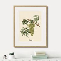 картина juicy fruit lithography №13, 1870 г., 42х52 см в Кемерово