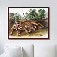 картина: the cougar, 1850г. в Кемерово