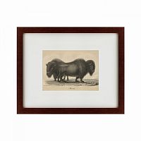 картина: bison, 1828 в Кемерово