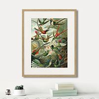 картина: art forms of nature №1, 1897г. в Кемерово