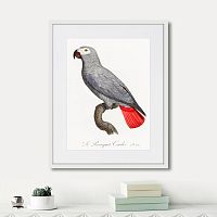 картина: beautiful parrots №2, 1872г. в Кемерово